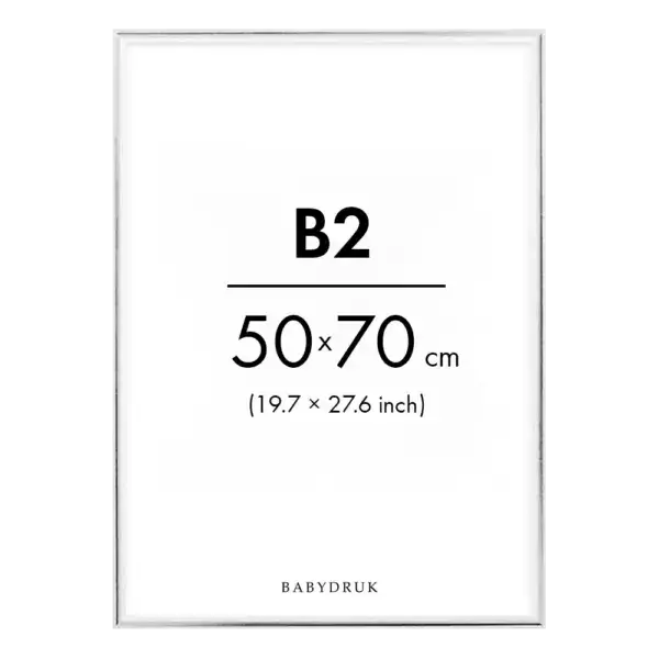Silver frame b2