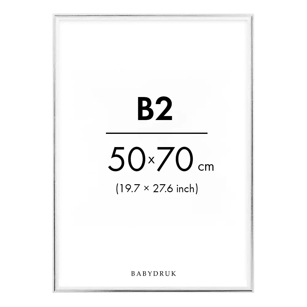 Silver frame b2