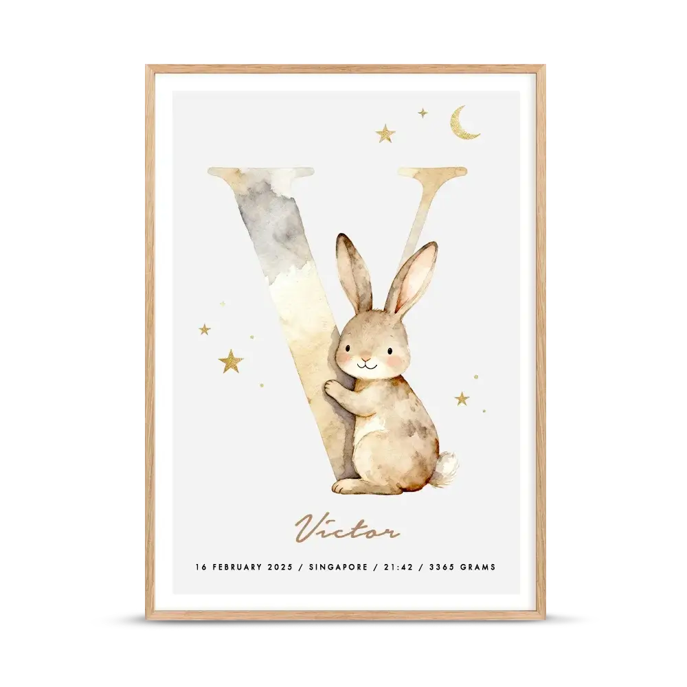 Little Letters – Letter V